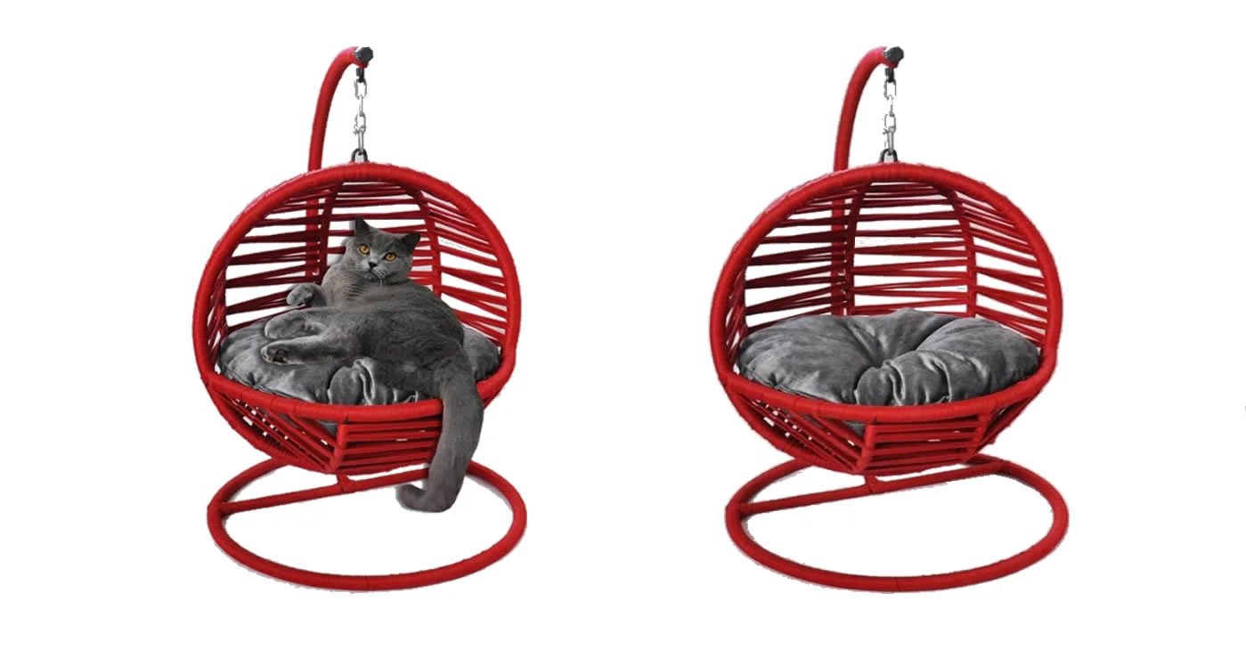 Cat Swing