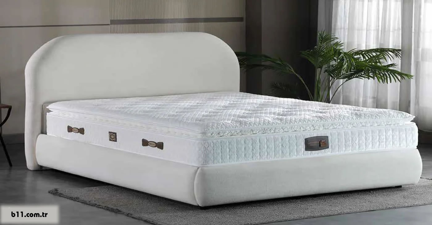 Modern Base Bed Set